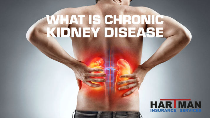What is Chronic Kidney Disease?